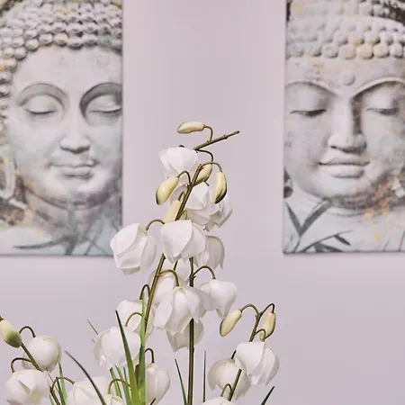 Peregrina 6 Pedrouzo